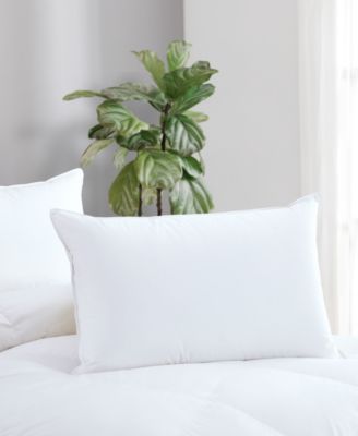 Avocado - 100% Cotton Cover Down Pillow, Queen