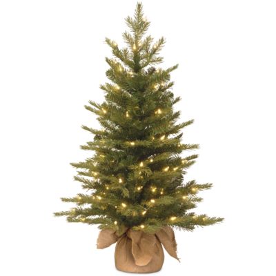 National Tree Company - 3' "Feel Real" Nordic Spruce Small Tree in Burlap with 100 Clear Lights