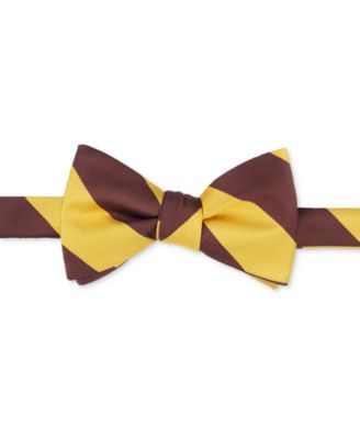Tayion Collection - Men's Iota Phi Theta Solid Bow Tie