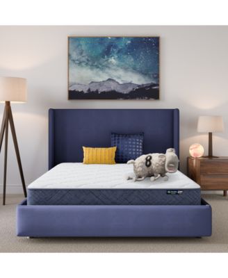 Serta - Dream Haven 8" Medium Tight Top Mattress in a Box - Queen